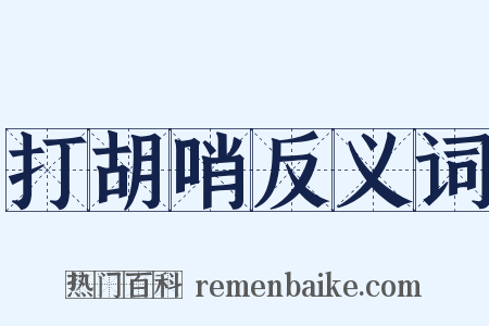 打胡哨反义词是什么意思的图片
